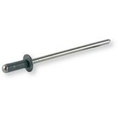 Rivet standard boule inox A2, tête plate de couleur